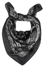 Load image into Gallery viewer, Bandanas
